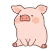 Puerquitocute 6