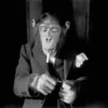 🐒Changuitos🐒 Mov 16