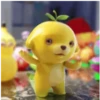 Lemon dog 12