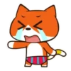 Gato Naranjo 10
