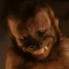 🐒Changuitos🐒 Mov 20