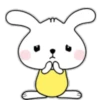 Phunny Bunny 15
