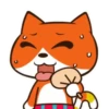 Gato Naranjo 13