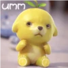 Lemon dog 17