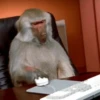 🐒Changuitos🐒 Mov 22
