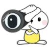 Phunny Bunny 17