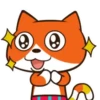 Gato Naranjo 15