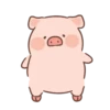 Puerquitocute 9