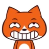 Gato Naranjo 16