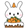 Phunny Bunny 19