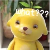 Lemon dog 18