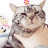 Gatitos Graciosos.MOV 20