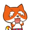 Gato Naranjo 20
