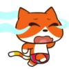 Gato Naranjo 21