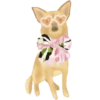 Chihuahua🐕💕🐾🎀.MOV 25