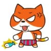 Gato Naranjo 22