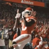 NFL dance players 24