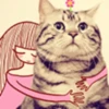 Gatitos Graciosos.MOV 25