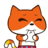 Gato Naranjo 23