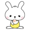 Phunny Bunny 24