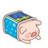 Puerquitocute 11