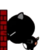 Cerdito negro 24