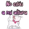 🐈Kitty Marie 2🐈 Mov 23