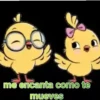 horny chicken.mov 5