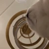 Gatitos Autenticos  Mov 8