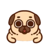 •● Puglie Pug Mov. ●• 5