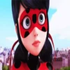 LADYBUG 8