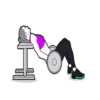 Fitness Gym Mov. 13