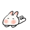 🐇Chewy rabbit🐇 Mov 10
