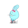 Pearl rabbit MOVbyYessy 7