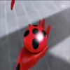 LADYBUG 15