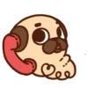 •● Puglie Pug Mov. ●• 10