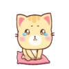 Cream  KittenMOV 12