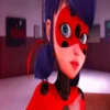 LADYBUG 20