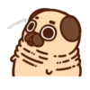 •● Puglie Pug Mov. ●• 16