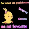 horny chicken.mov 17