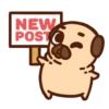 •● Puglie Pug Mov. ●• 18