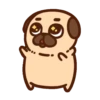 •● Puglie Pug Mov. ●• 19