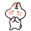 🐇Chewy rabbit🐇 Mov 15