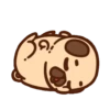•● Puglie Pug Mov. ●• 21