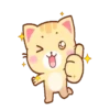 Cream  KittenMOV 16