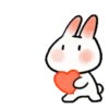 🐇Chewy rabbit🐇 Mov 17