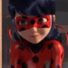 LADYBUG 25