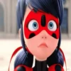 LADYBUG 26