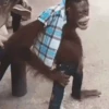 De Todo un Poco 22