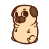 •● Puglie Pug Mov. ●• 24